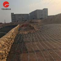 polyester geogrid