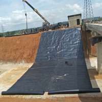 HDPE LDPE LLDPE  geomembrane / fish farm pond liner / geomembrane sheet