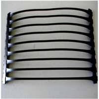 polypropylene uniaxial geogrid plastic material HDPE Uniaxial geogrid for wall